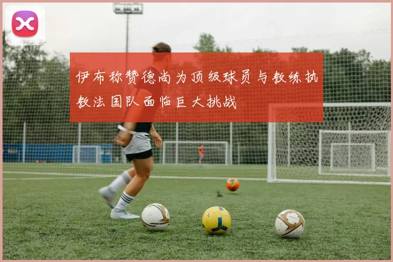 伊布称赞德尚为顶级球员与教练执教法国队面临巨大挑战