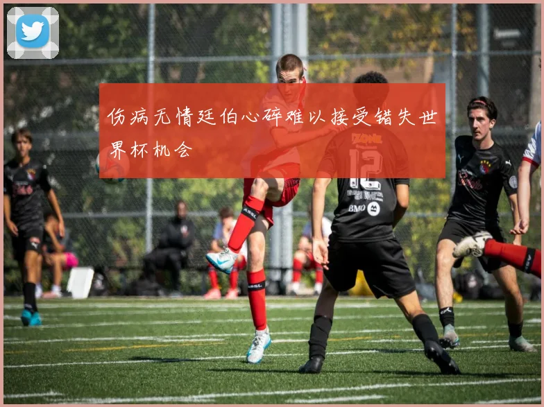 伤病无情廷伯心碎难以接受错失世界杯机会
