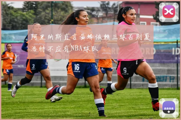阿里纳斯直言黄蜂依赖三球否则夏洛特不应有NBA球队