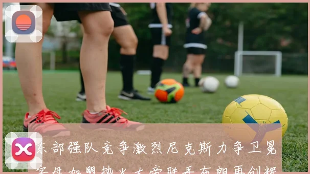 东部强队竞争激烈尼克斯力争卫冕字母加盟热火大帝联手布朗再创辉煌